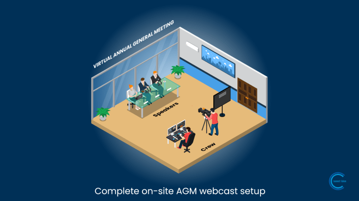Virtual annual general meeting