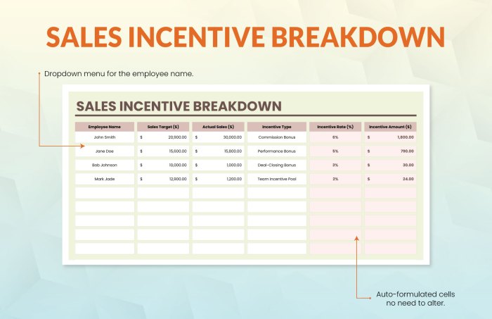 Sales incentive programs